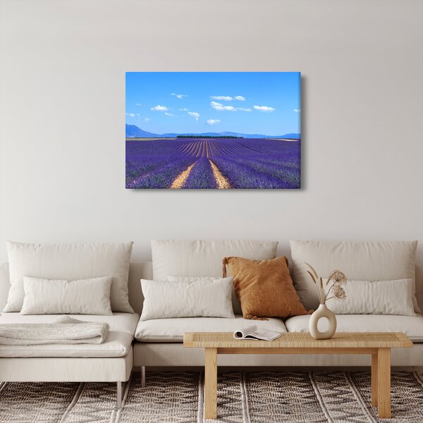Slika - Polje lavande (90x60 cm)