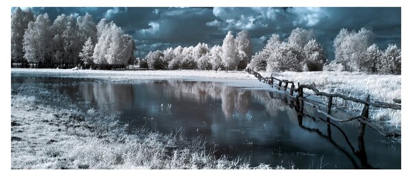 Slika - Smrznuti krajolik (120x50 cm)