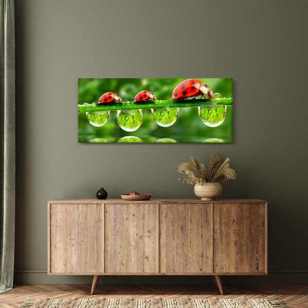 Slika - Sunčev sjaj sedam sunaca (120x50 cm)