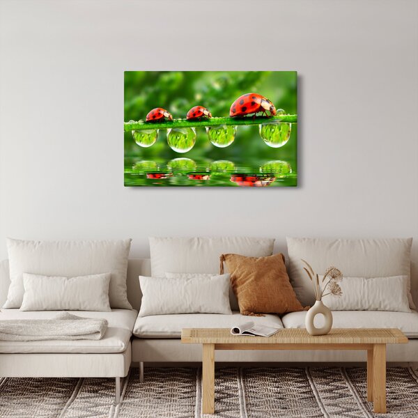 Slika - Sunčev sjaj sedam sunaca (90x60 cm)