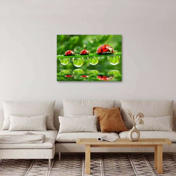 Slika - Sunčev sjaj sedam sunaca (70x50 cm)
