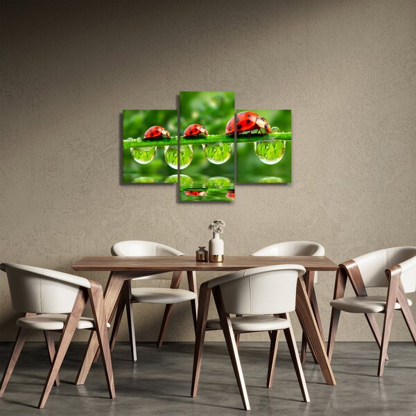 Slika - Sunčev sjaj sedam sunaca (90x60 cm)