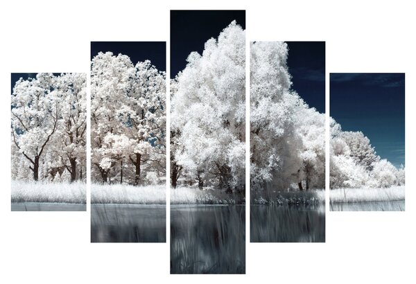 Slika - Snjeguljica stabla (150x105 cm)