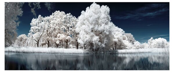 Slika - Snjeguljica stabla (120x50 cm)