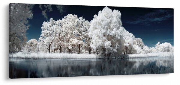 Slika - Snjeguljica stabla (120x50 cm)