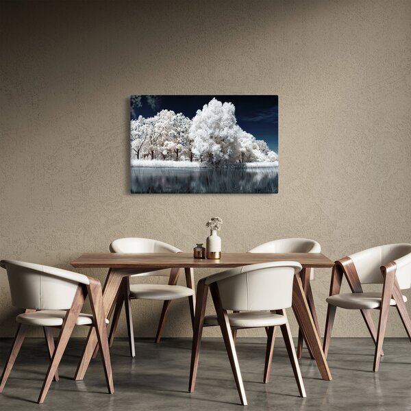 Slika - Snjeguljica stabla (90x60 cm)