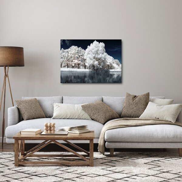 Slika - Snjeguljica stabla (70x50 cm)