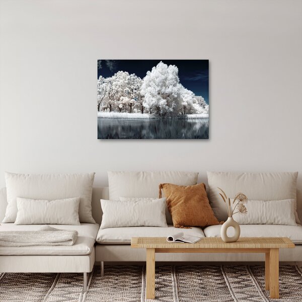 Slika - Snjeguljica stabla (70x50 cm)