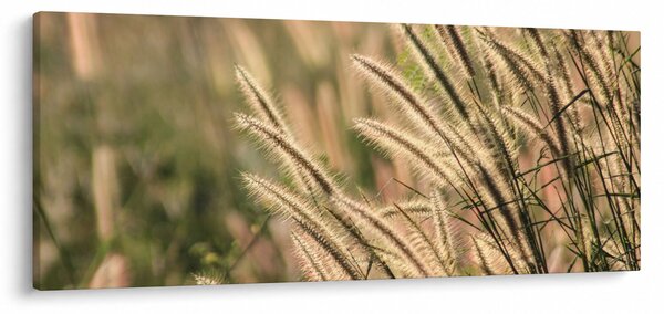 Slika - Žitarica (120x50 cm)
