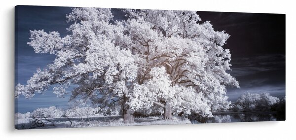 Slika - Snjeguljica Drvo (120x50 cm)