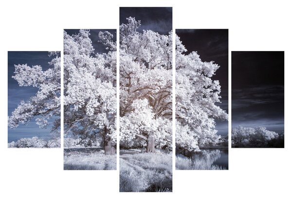 Slika - Snjeguljica Drvo (150x105 cm)