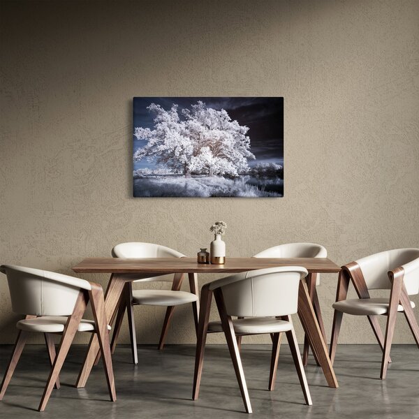 Slika - Snjeguljica Drvo (90x60 cm)
