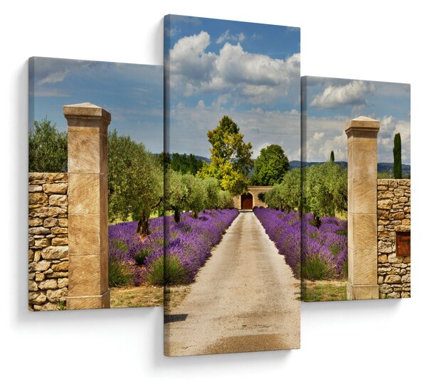 Slika - Staze od lavande (90x60 cm)