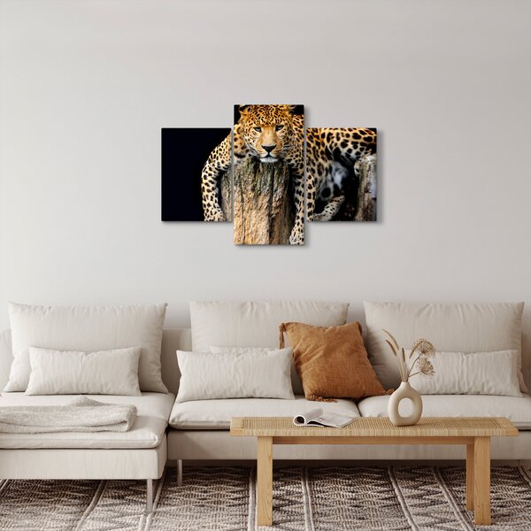 Slika - gepard (90x60 cm)