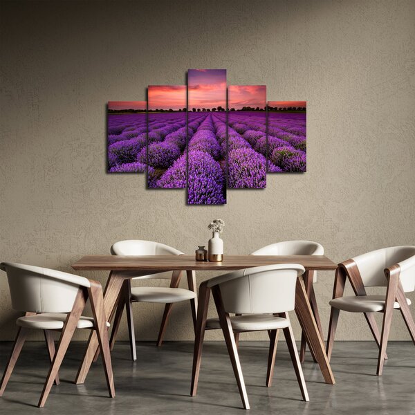 Slika - Polje lavande (150x105 cm)