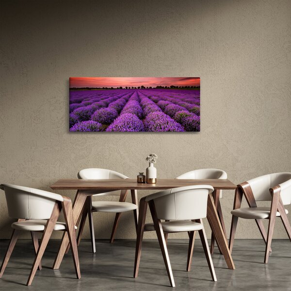 Slika - Polje lavande (120x50 cm)