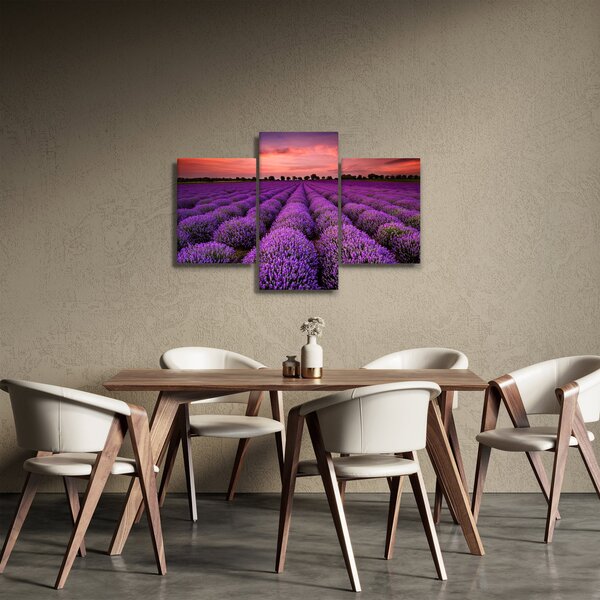 Slika - Polje lavande (90x60 cm)