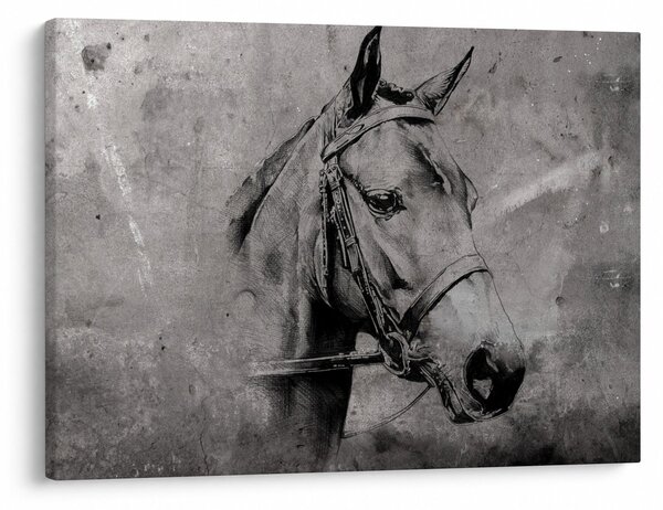 Slika - Portret konja (70x50 cm)