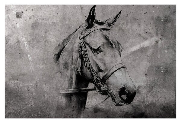 Slika - Portret konja (90x60 cm)