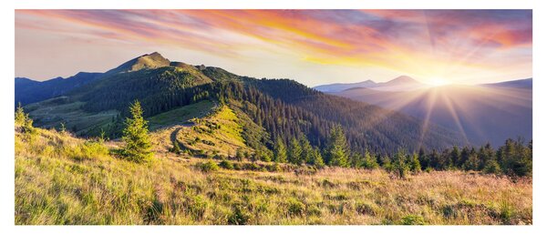 Slika - Šumski krajolik (120x50 cm)