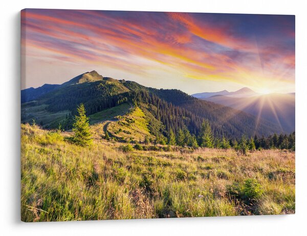Slika - Šumski krajolik (70x50 cm)