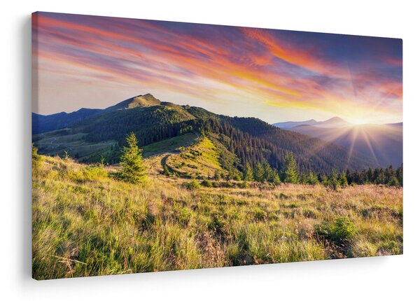 Slika - Šumski krajolik (90x60 cm)
