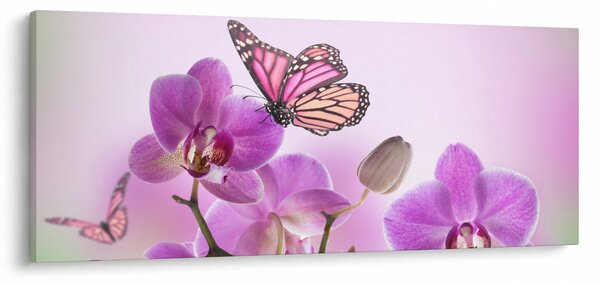 Slika - Leptir na cvjetovima orhideje, lila (120x50 cm)