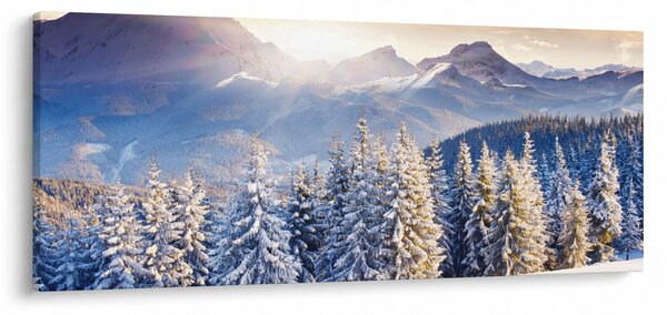 Slika - Planinski krajolik zimi (120x50 cm)