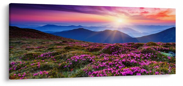 Slika - Planinski cvjetni krajolik (120x50 cm)