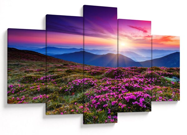 Slika - Planinski cvjetni krajolik (150x105 cm)