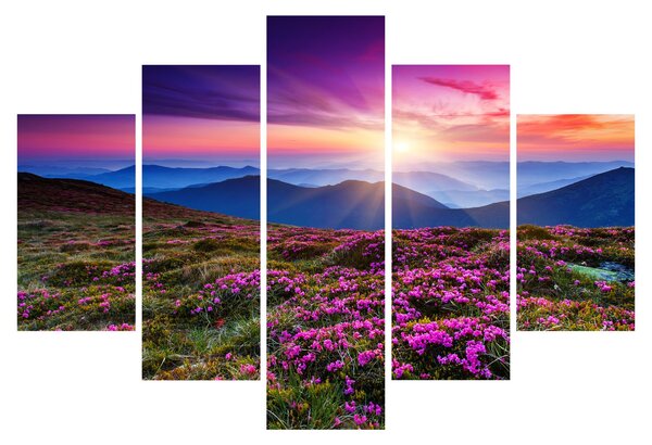 Slika - Planinski cvjetni krajolik (150x105 cm)