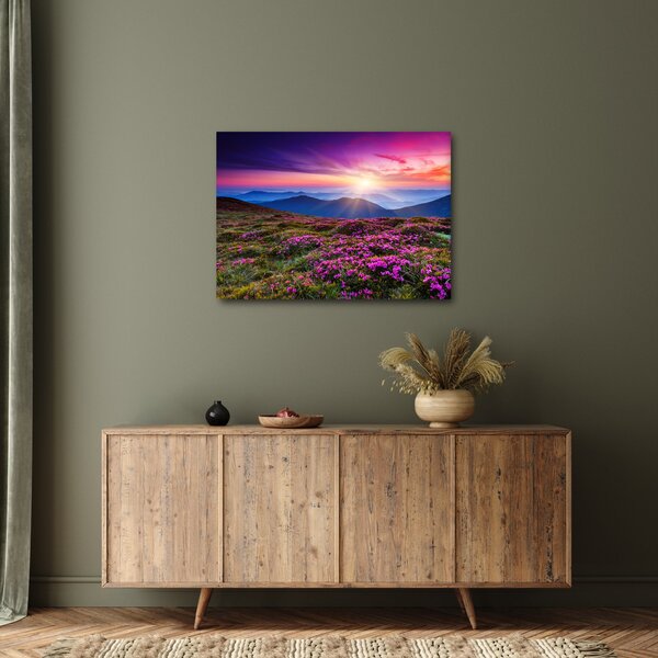Slika - Planinski cvjetni krajolik (70x50 cm)