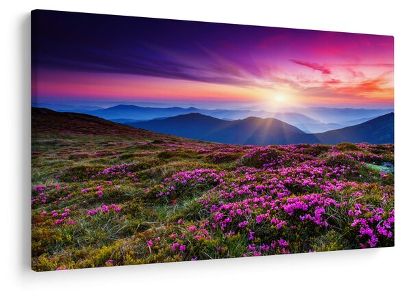 Slika - Planinski cvjetni krajolik (90x60 cm)