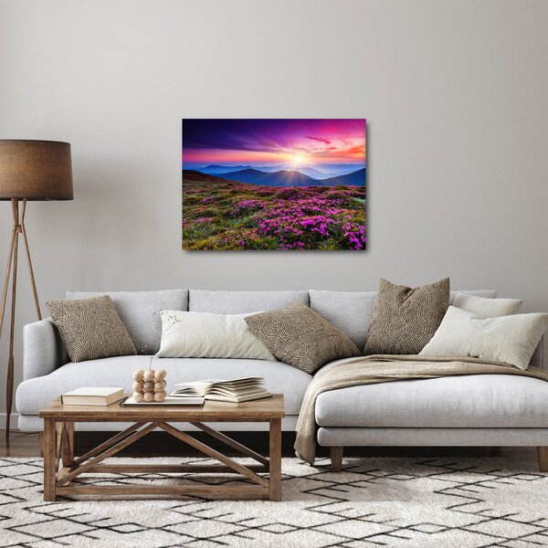 Slika - Planinski cvjetni krajolik (70x50 cm)