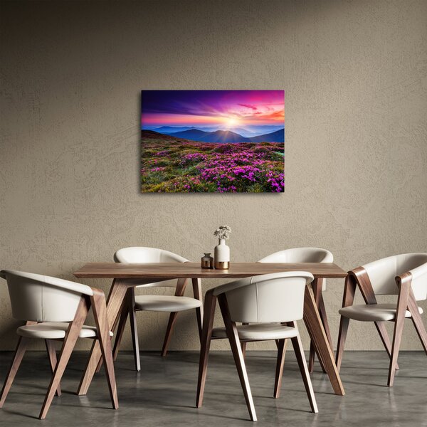 Slika - Planinski cvjetni krajolik (70x50 cm)