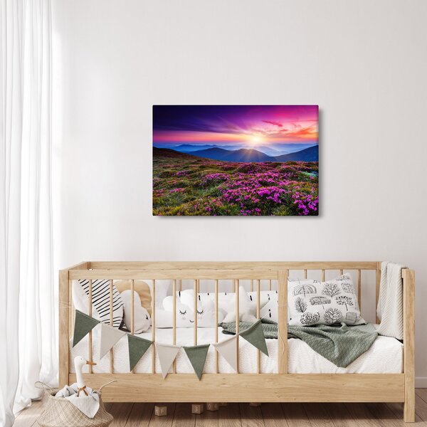 Slika - Planinski cvjetni krajolik (90x60 cm)