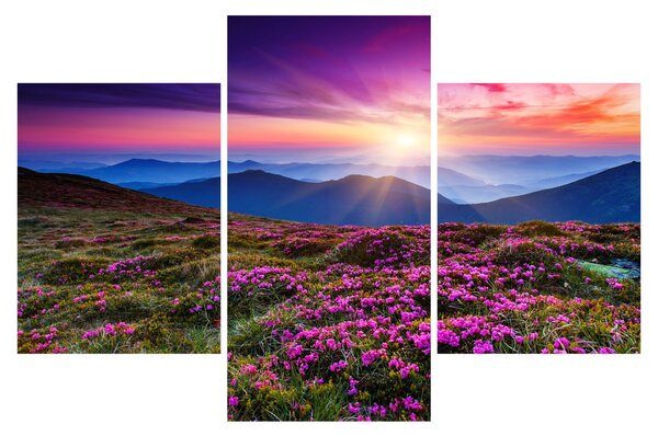 Slika - Planinski cvjetni krajolik (90x60 cm)