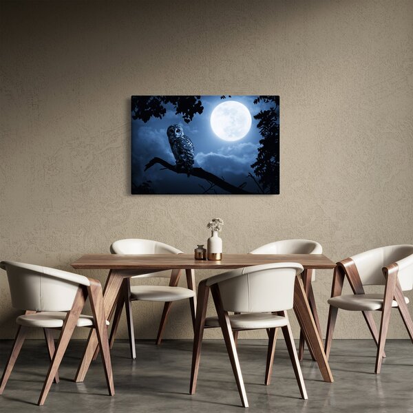 Slika - Noćna sova (90x60 cm)