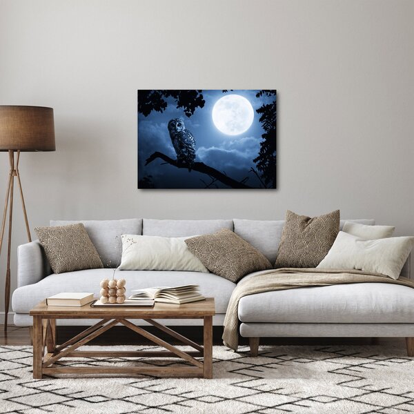Slika - Noćna sova (70x50 cm)