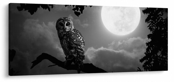 Slika - Noćna ptica, crno-bijela (120x50 cm)