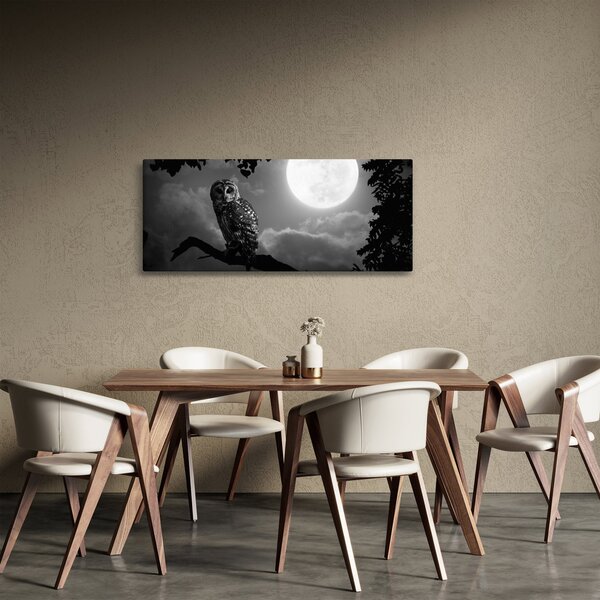 Slika - Noćna ptica, crno-bijela (120x50 cm)