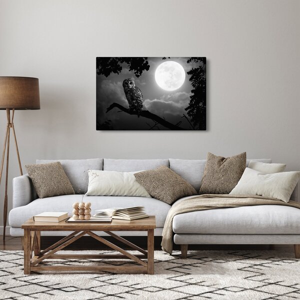 Slika - Noćna ptica, crno-bijela (90x60 cm)