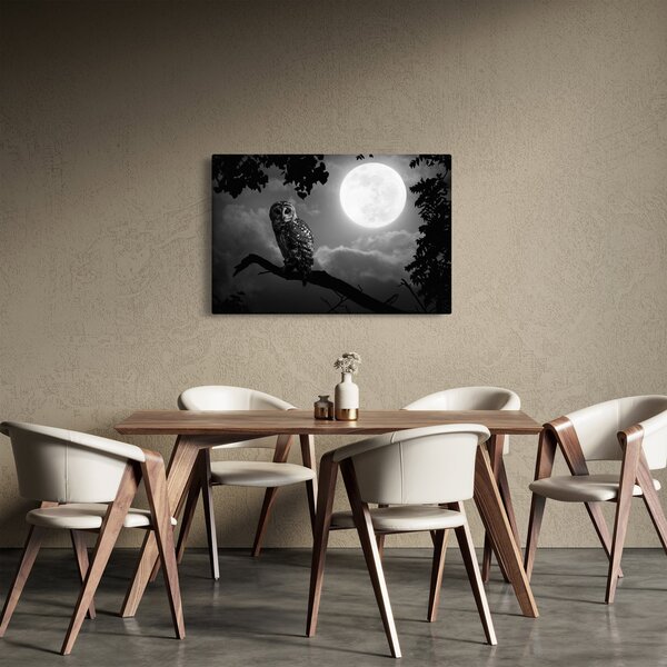 Slika - Noćna ptica, crno-bijela (90x60 cm)