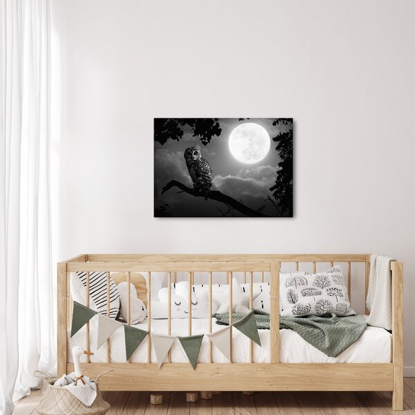 Slika - Noćna ptica, crno-bijela (70x50 cm)