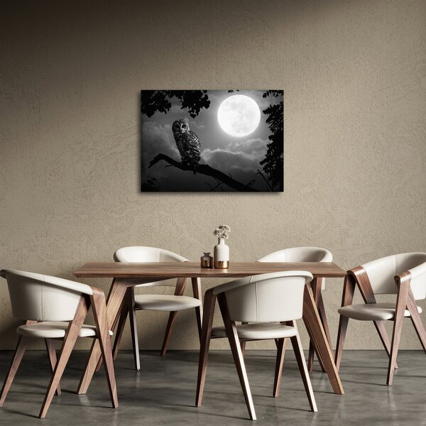 Slika - Noćna ptica, crno-bijela (70x50 cm)