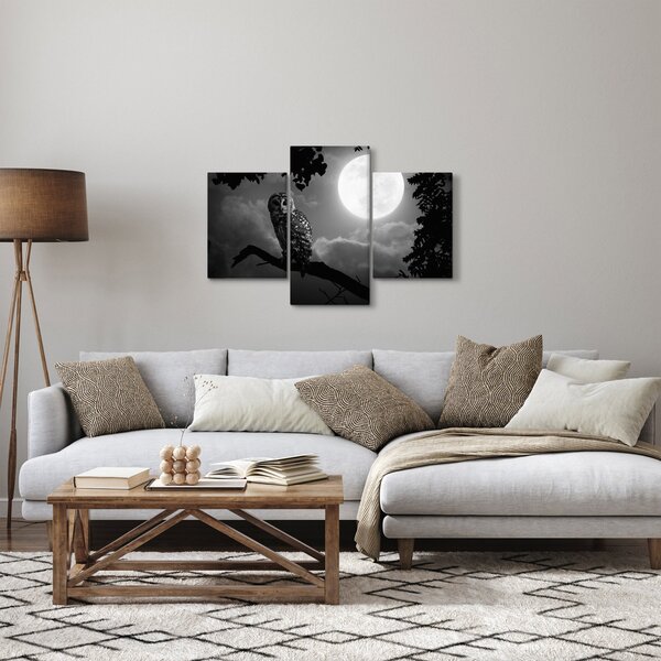 Slika - Noćna ptica, crno-bijela (90x60 cm)