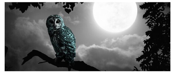 Slika - Noćna ptica, plava (120x50 cm)