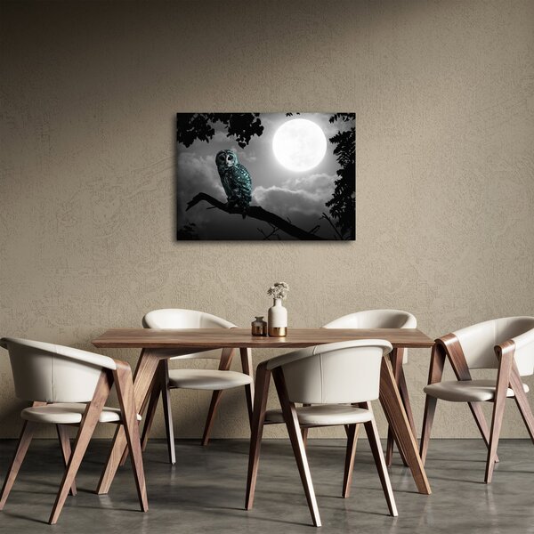 Slika - Noćna ptica, plava (70x50 cm)