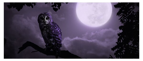 Slika - Noćna ptica, ljubičasta (120x50 cm)