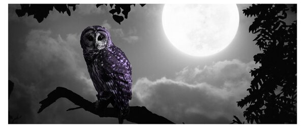 Slika - Noćna sova, ljubičasta sova (120x50 cm)